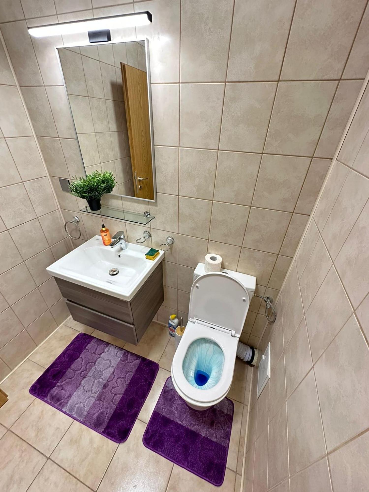 Centru Unirii Luxury Vip Palmier Apartament 2 Camere Cu Terasa Exterioara Amenajata ! Parcare Subterana Privata Climatizata Si Supravegheata Video Dar Doar Cu Rezervare In Limita Locurilor Disponibile !Proprietate In Regim Hoteliep - Nu Are Bucatarie Βουκουρέστι Εξωτερικό φωτογραφία