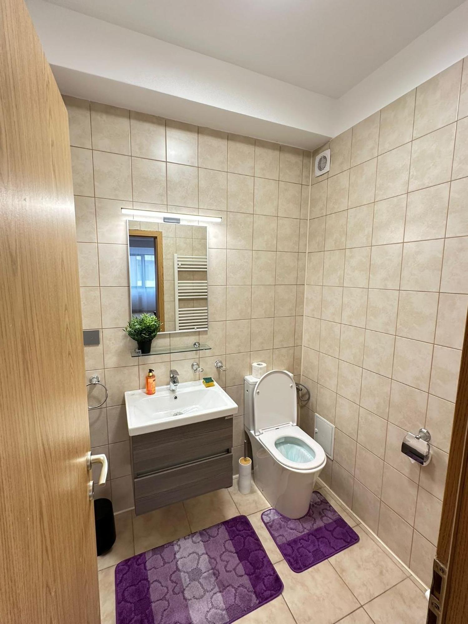 Centru Unirii Luxury Vip Palmier Apartament 2 Camere Cu Terasa Exterioara Amenajata ! Parcare Subterana Privata Climatizata Si Supravegheata Video Dar Doar Cu Rezervare In Limita Locurilor Disponibile !Proprietate In Regim Hoteliep - Nu Are Bucatarie Βουκουρέστι Εξωτερικό φωτογραφία